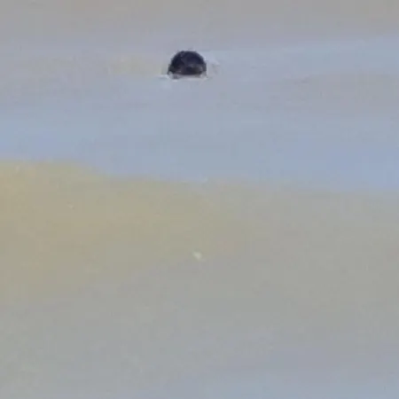 Opal'in Proche De La Et Des Restaurants * Gravelines