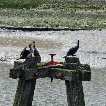 Opal'in Proche De La Et Des Restaurants Ferienhaus *